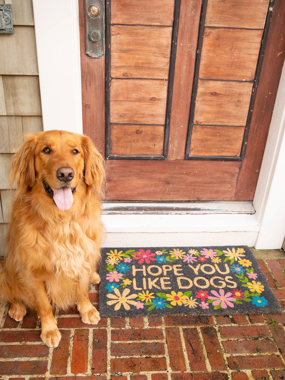 Bungalow Doormat - Like Dogs Black
