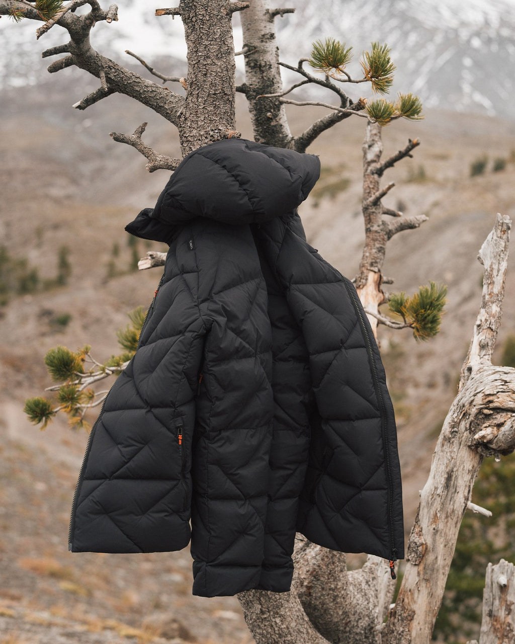 Puffinator Down Jacket
