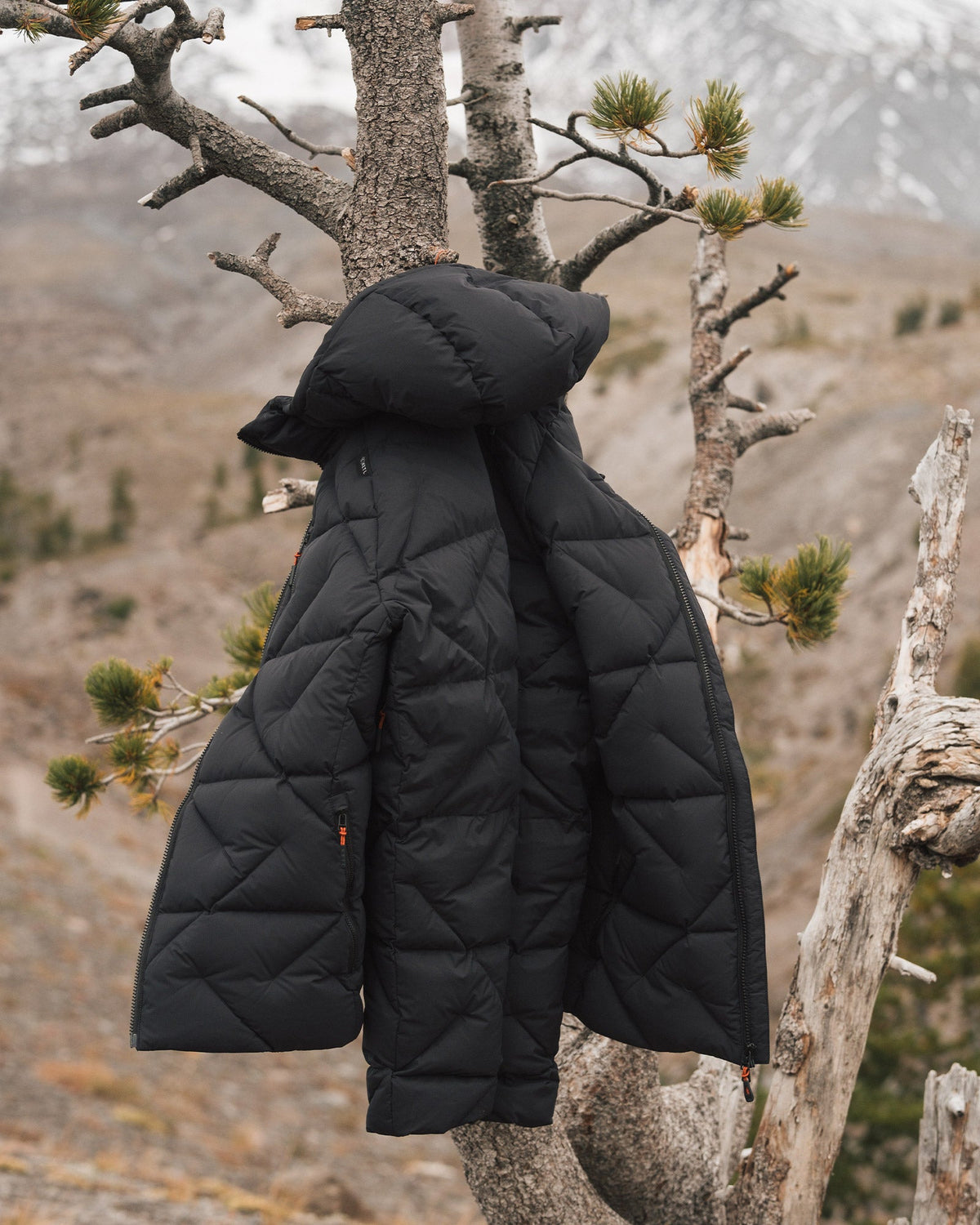 Puffinator Down Jacket