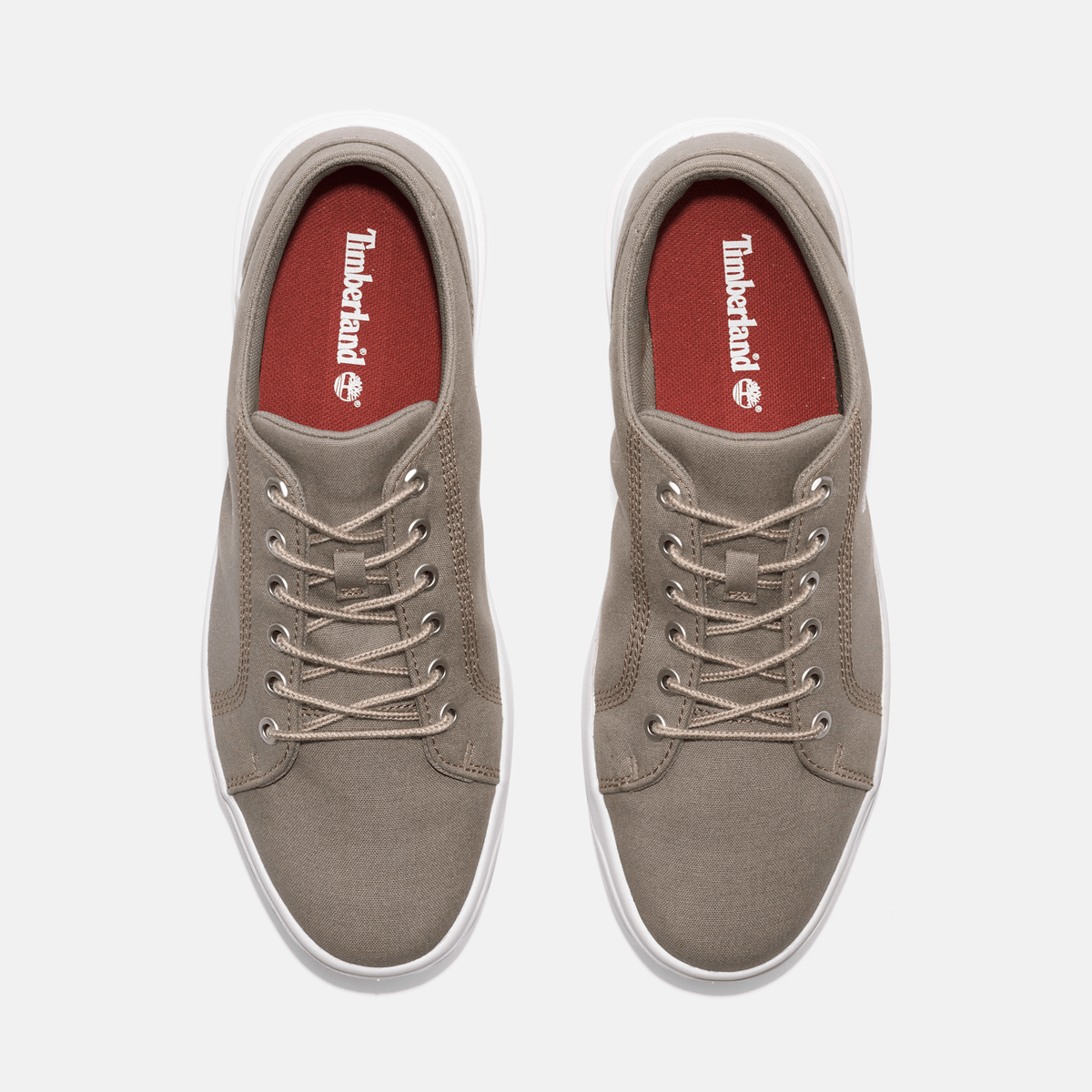 Mens Timberland Seneca Bay Sneaker TBL Light Taupe Canvas ALT2