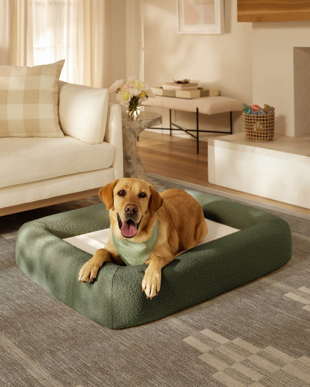 pet_bed_large