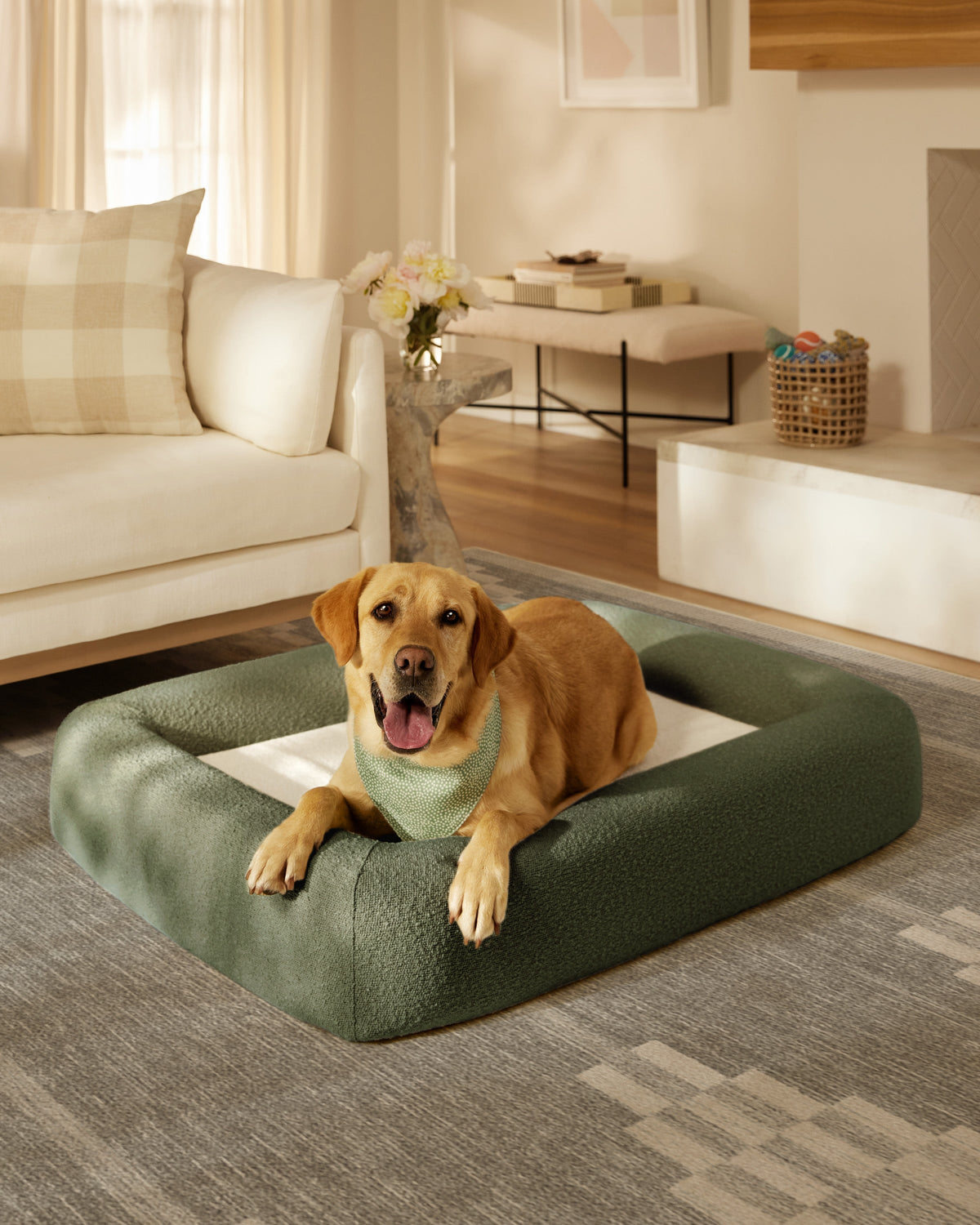 pet_bed_large