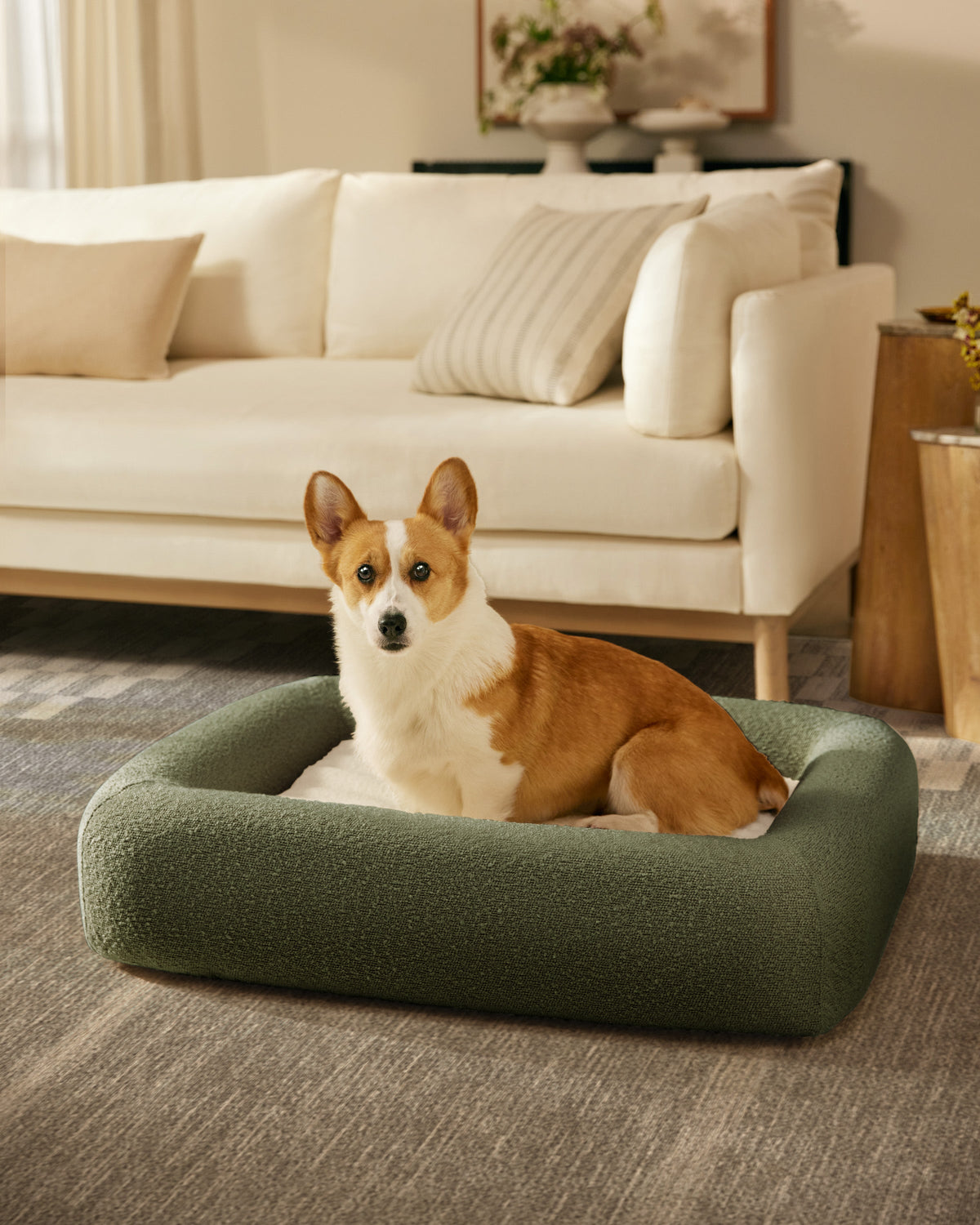 pet_bed_medium