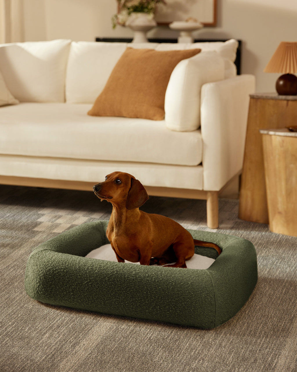 pet_bed_small