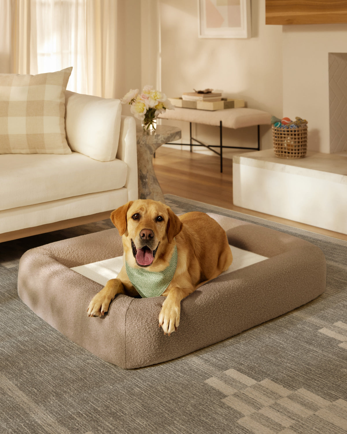 pet_bed_large