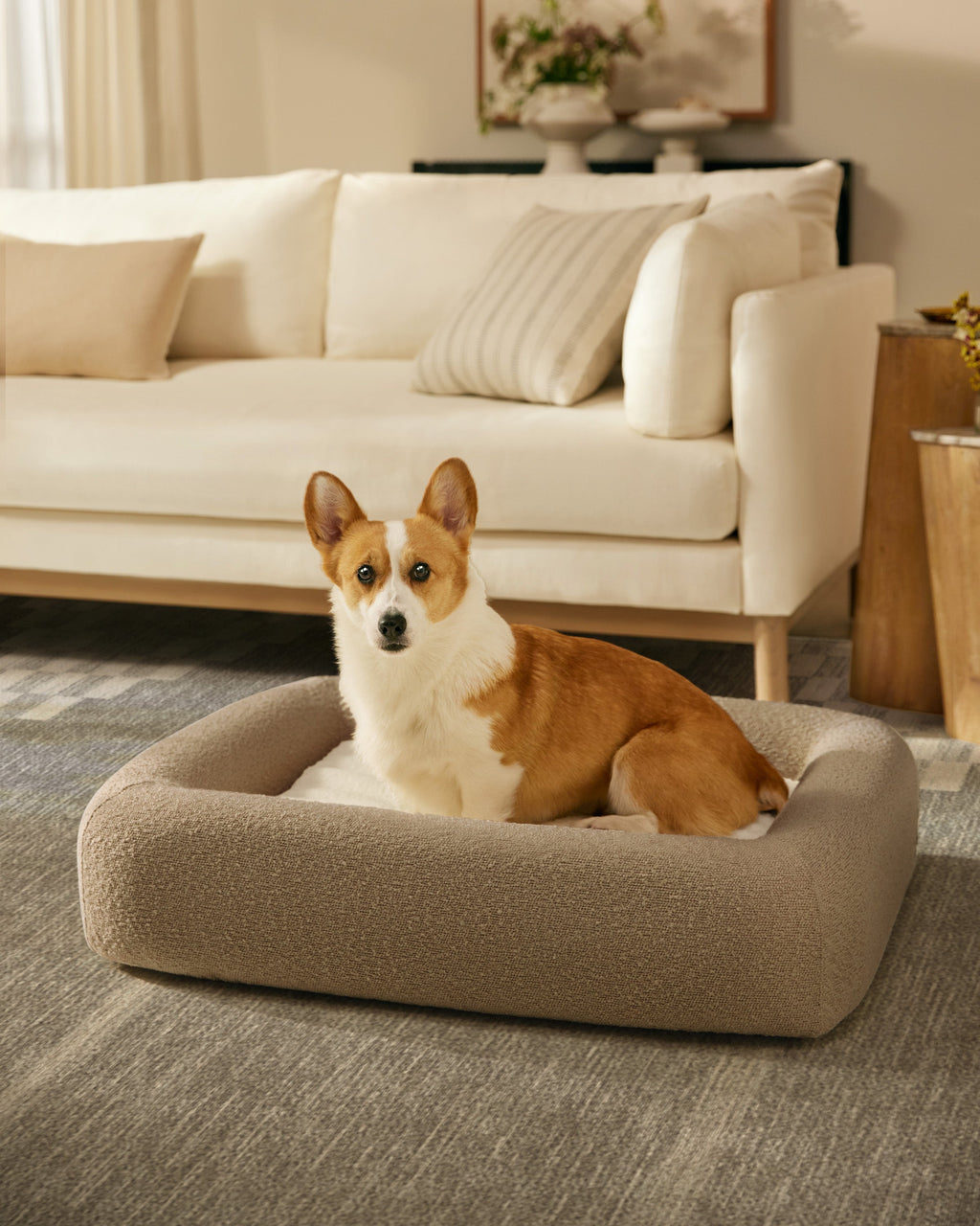 pet_bed_medium