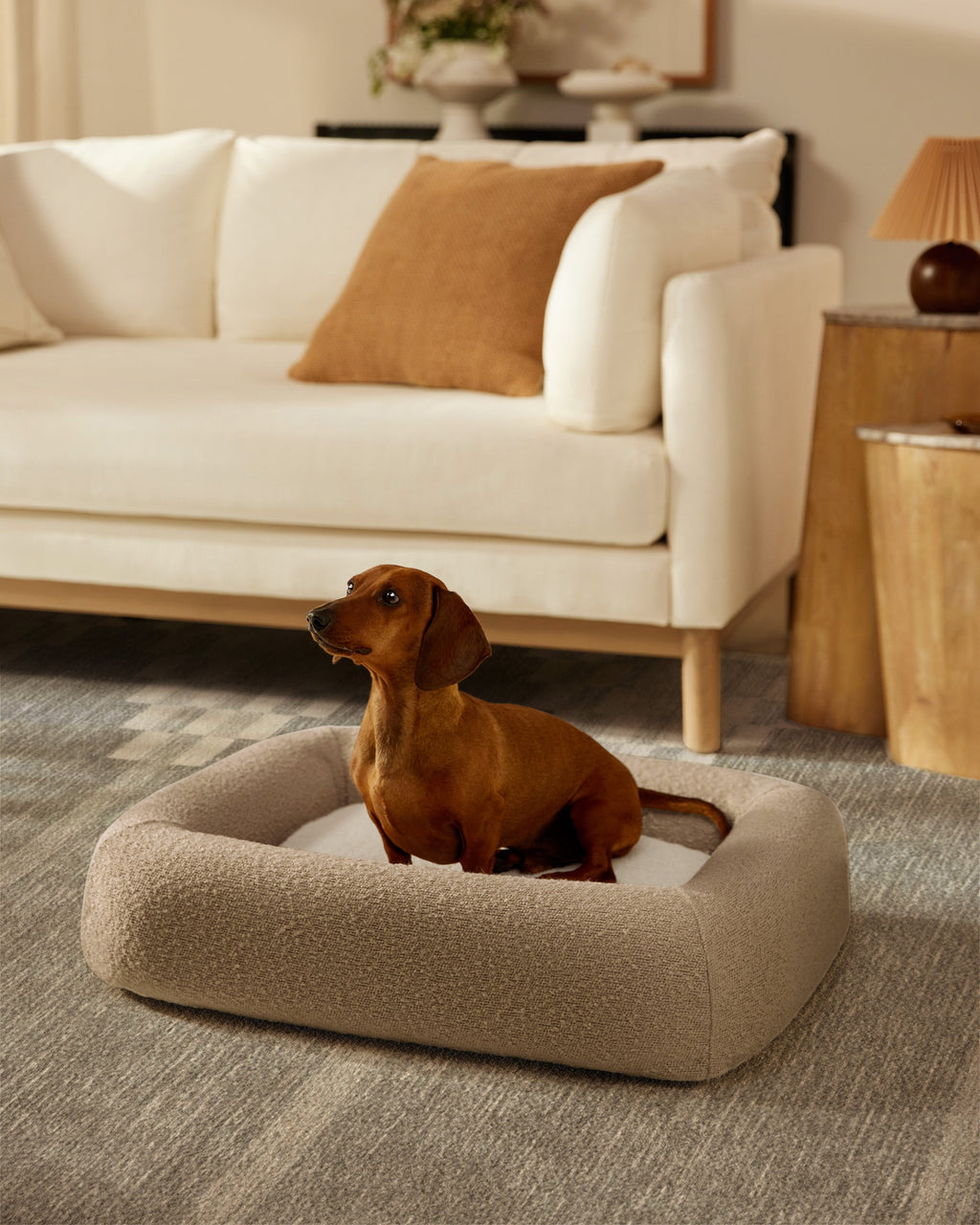 pet_bed_small