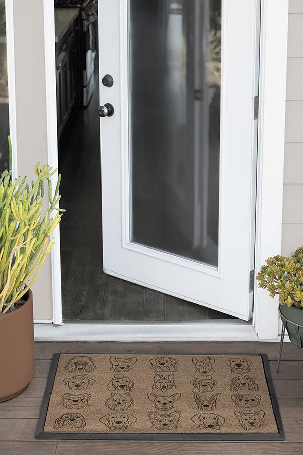 DM23_front_door