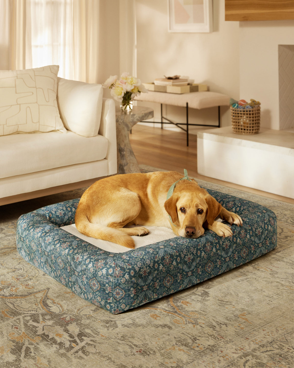 pet_bed_small