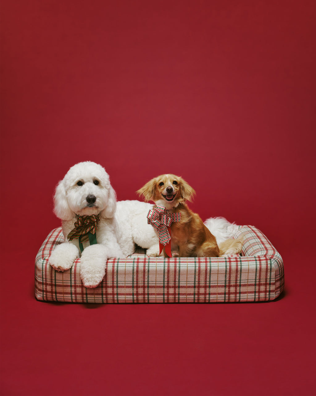 pet_bed_large