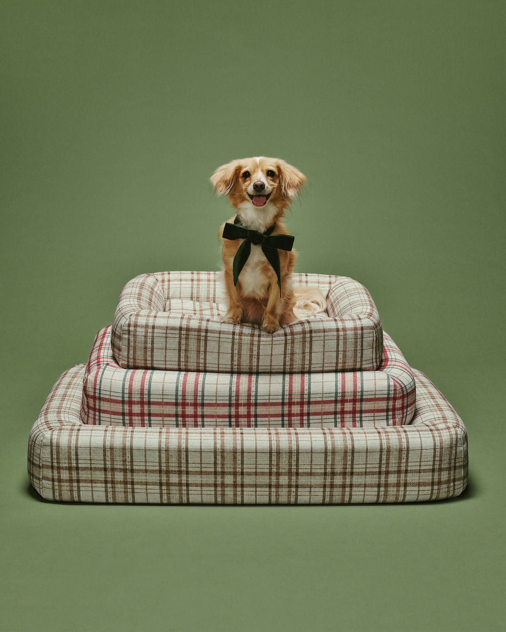 pet_bed_medium