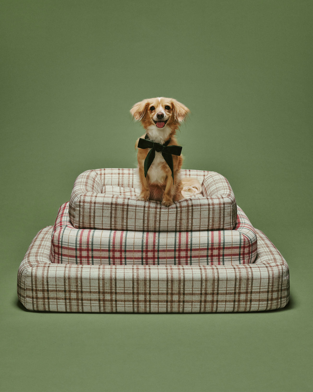 pet_bed_medium