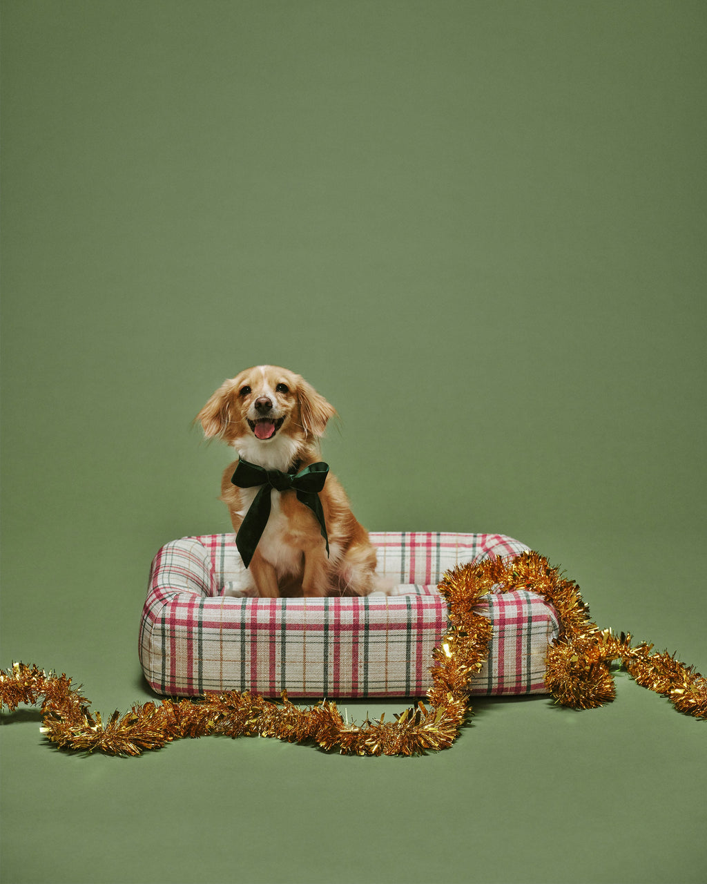 pet_bed_small