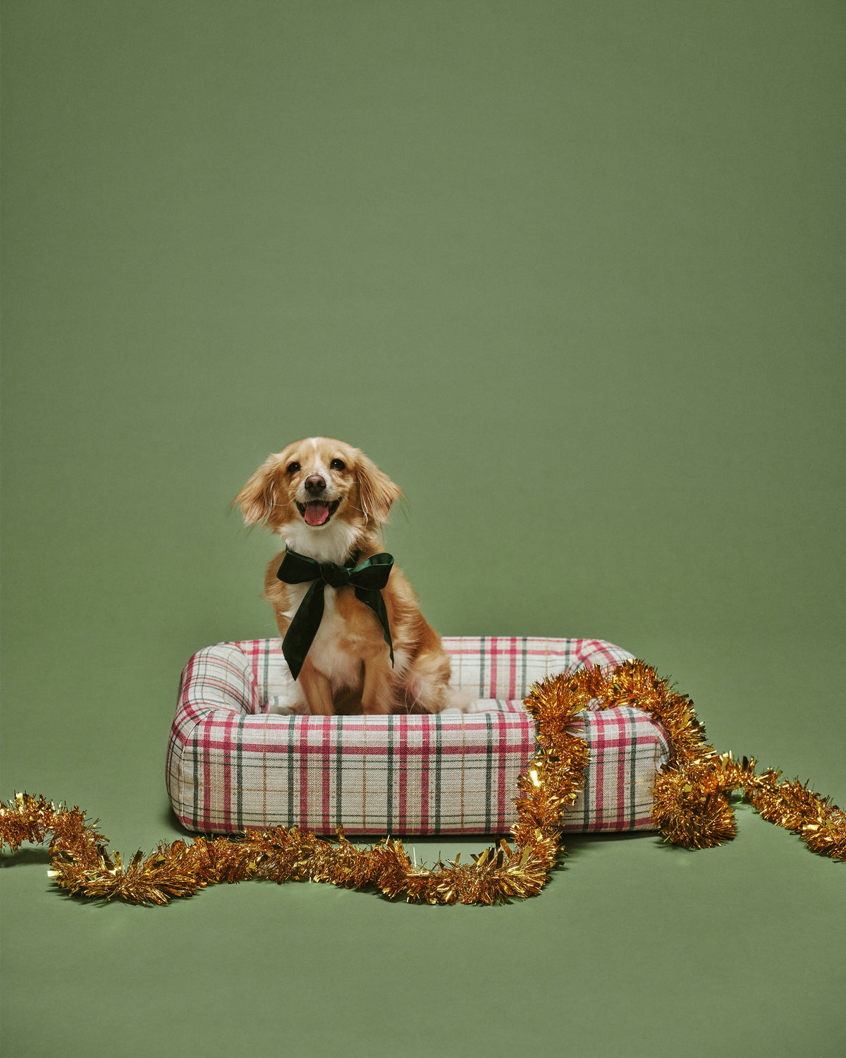 pet_bed_small