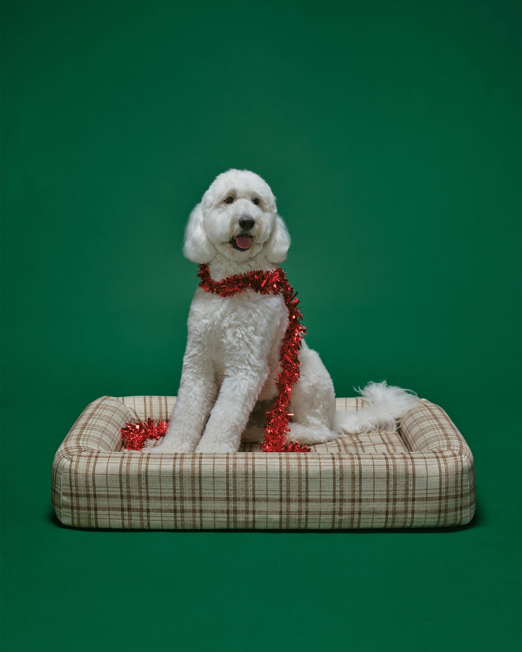 pet_bed_large