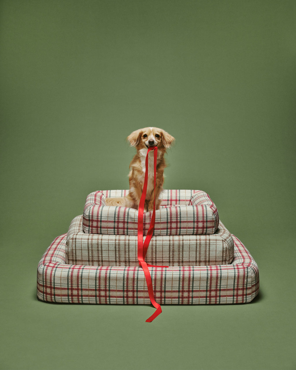 pet_bed_medium