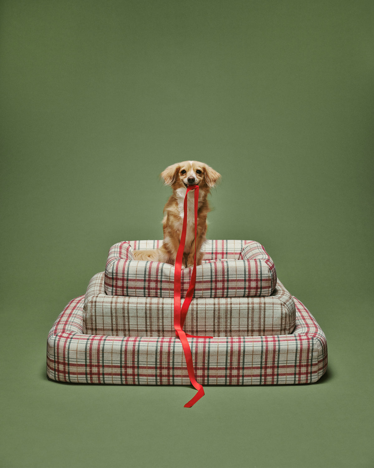 pet_bed_medium