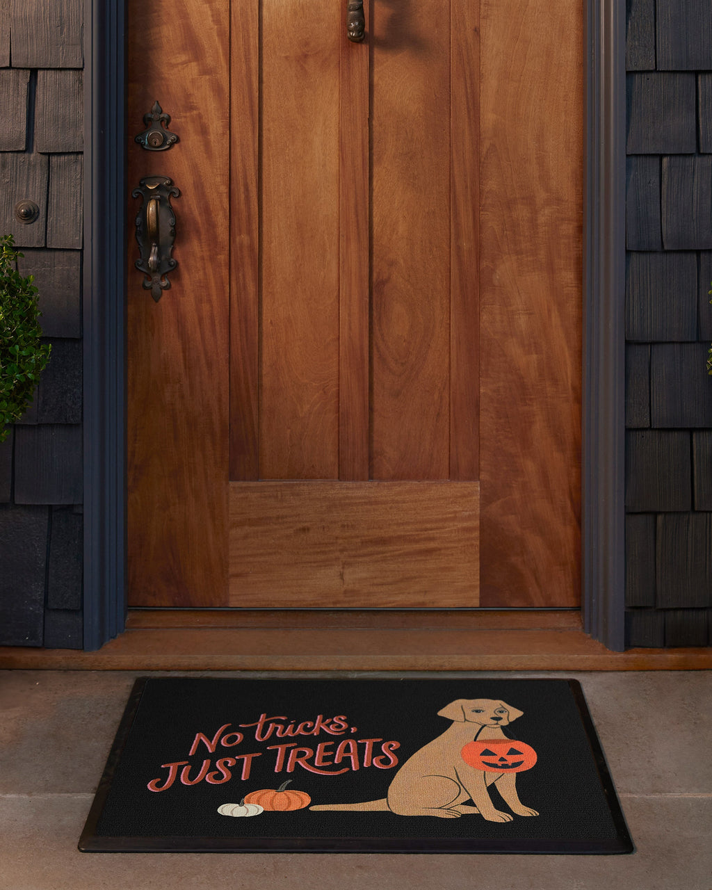 2x3_front_door