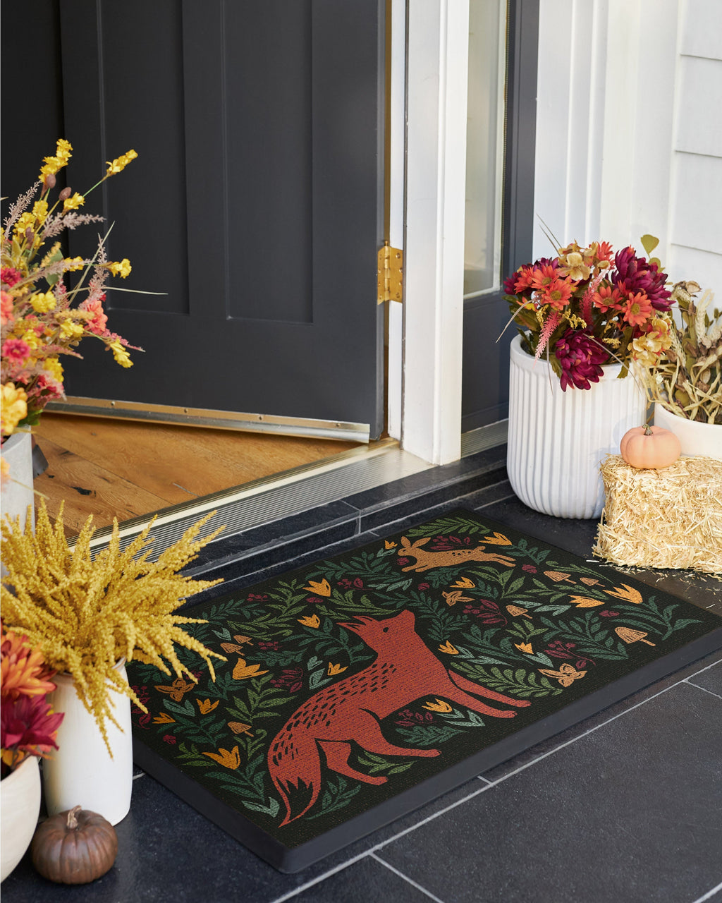 DM23_front_door